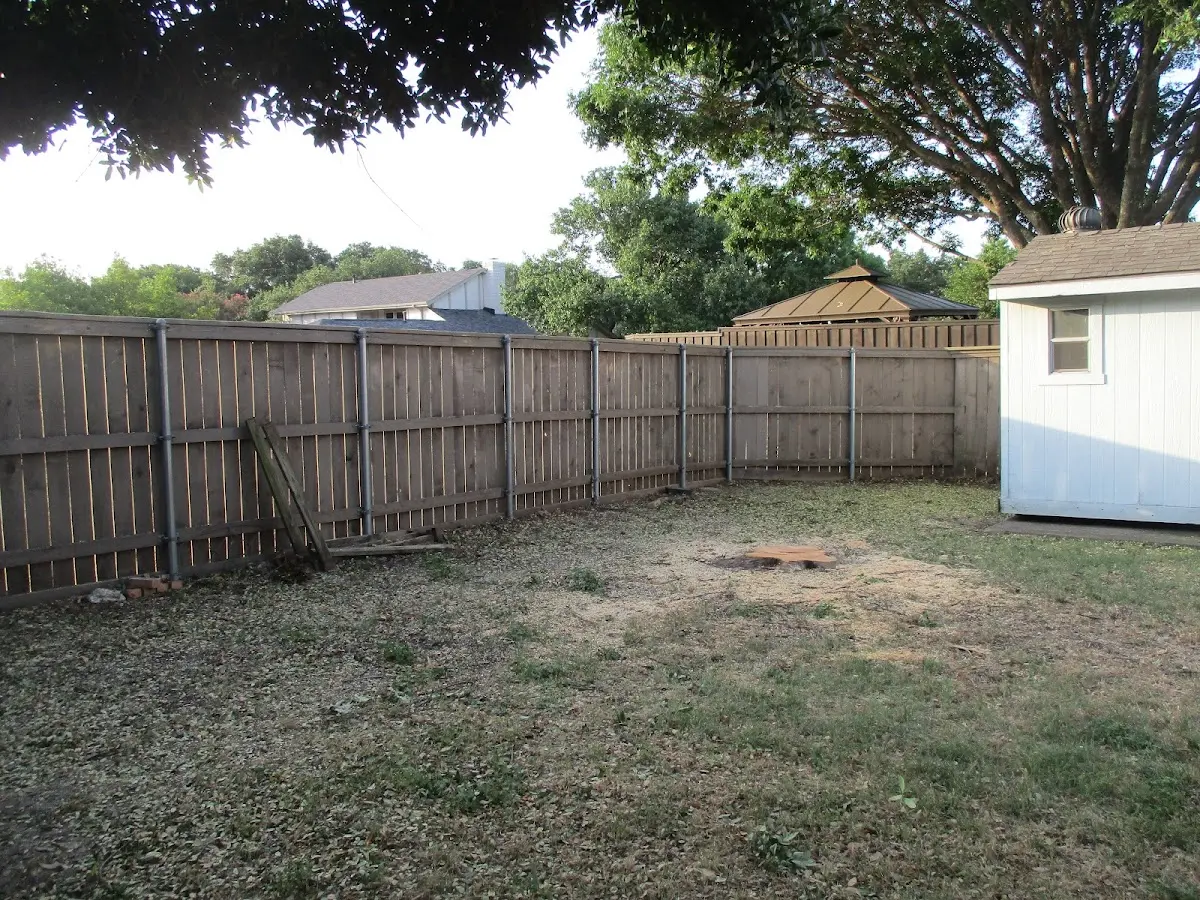 Cleared yard after professional tree removal in Hodges